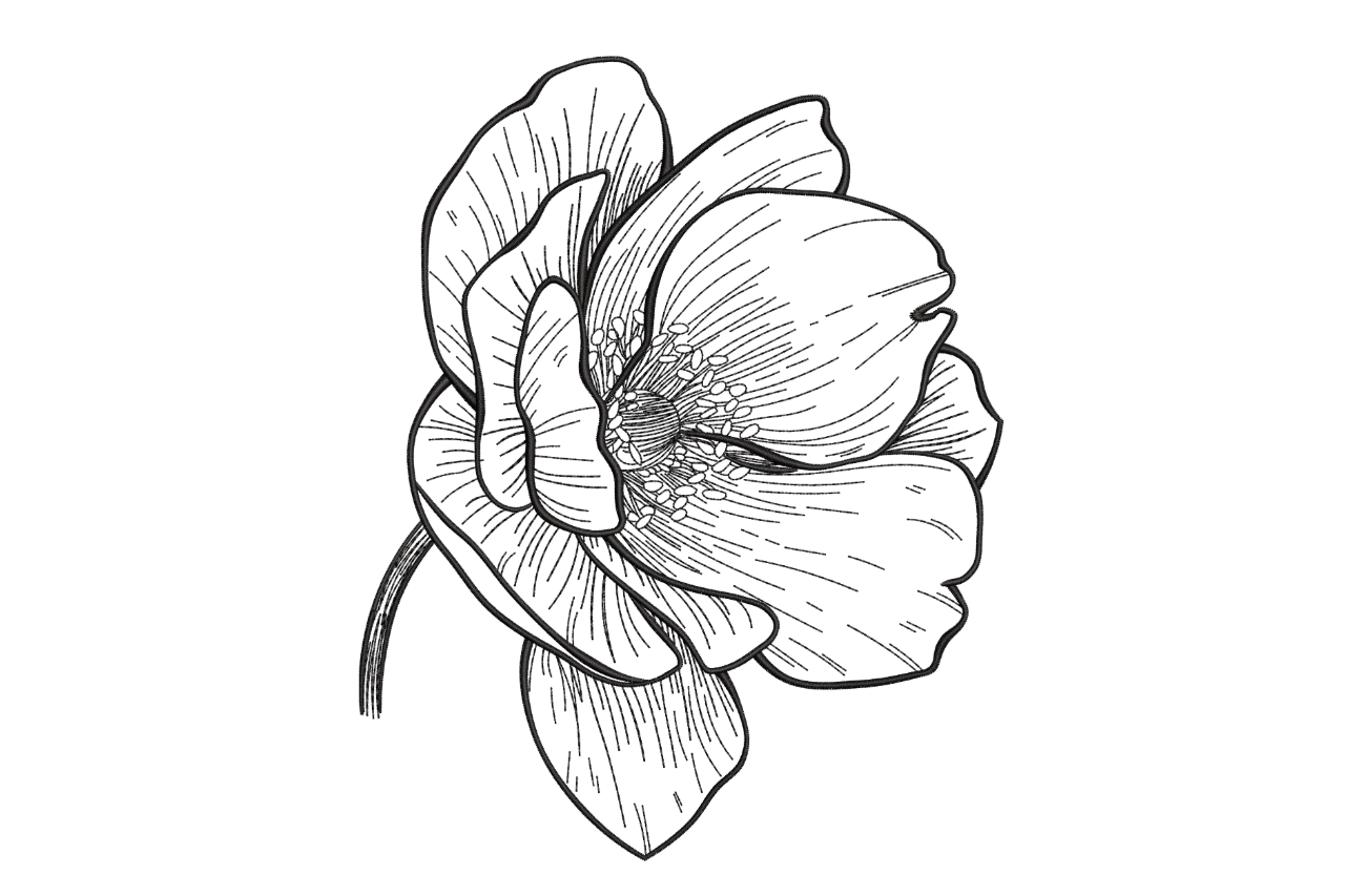 Single Flower Line Art Machine Embroidery Design