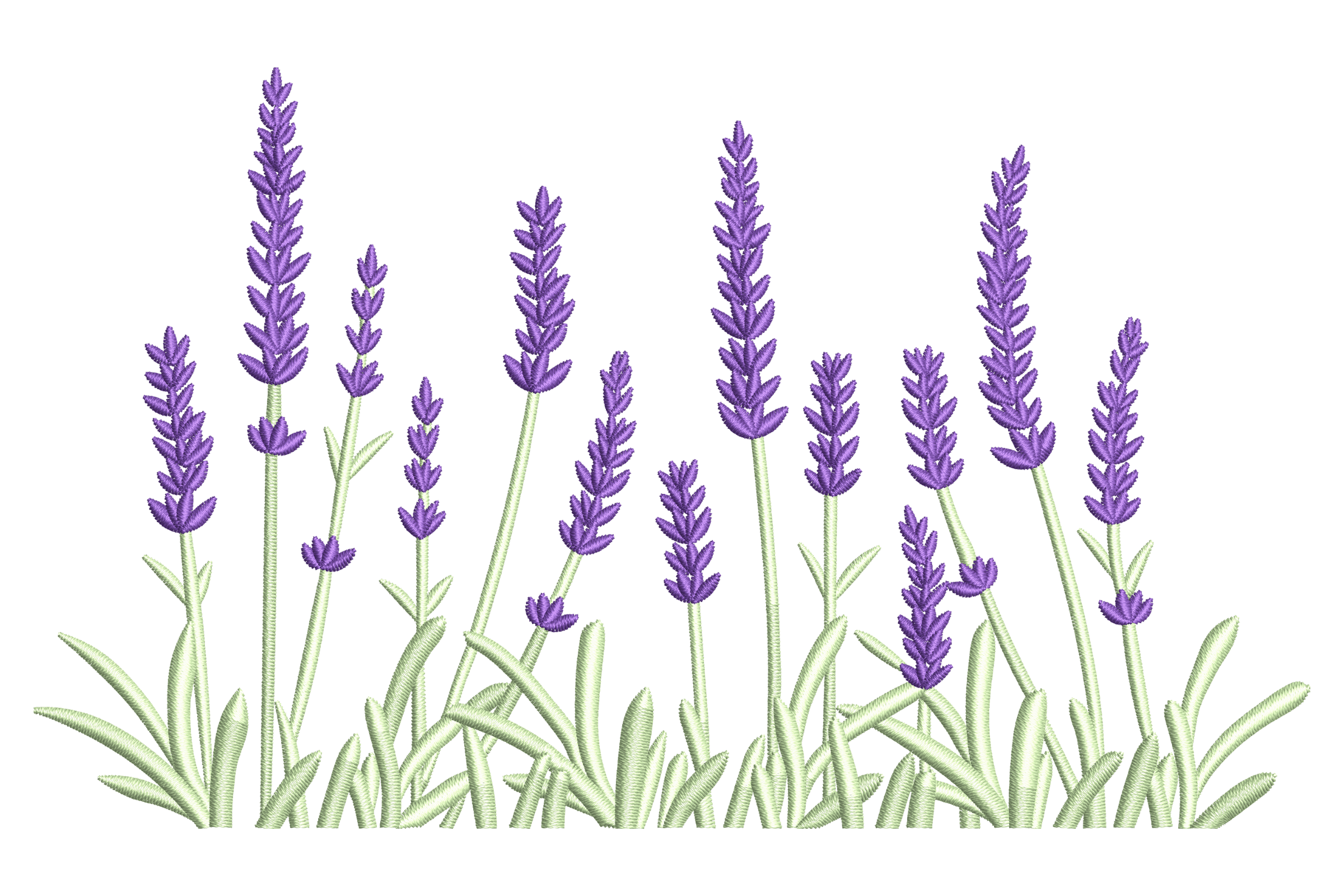 Lavender Field Border – Modern Botanical Embroidery Design
