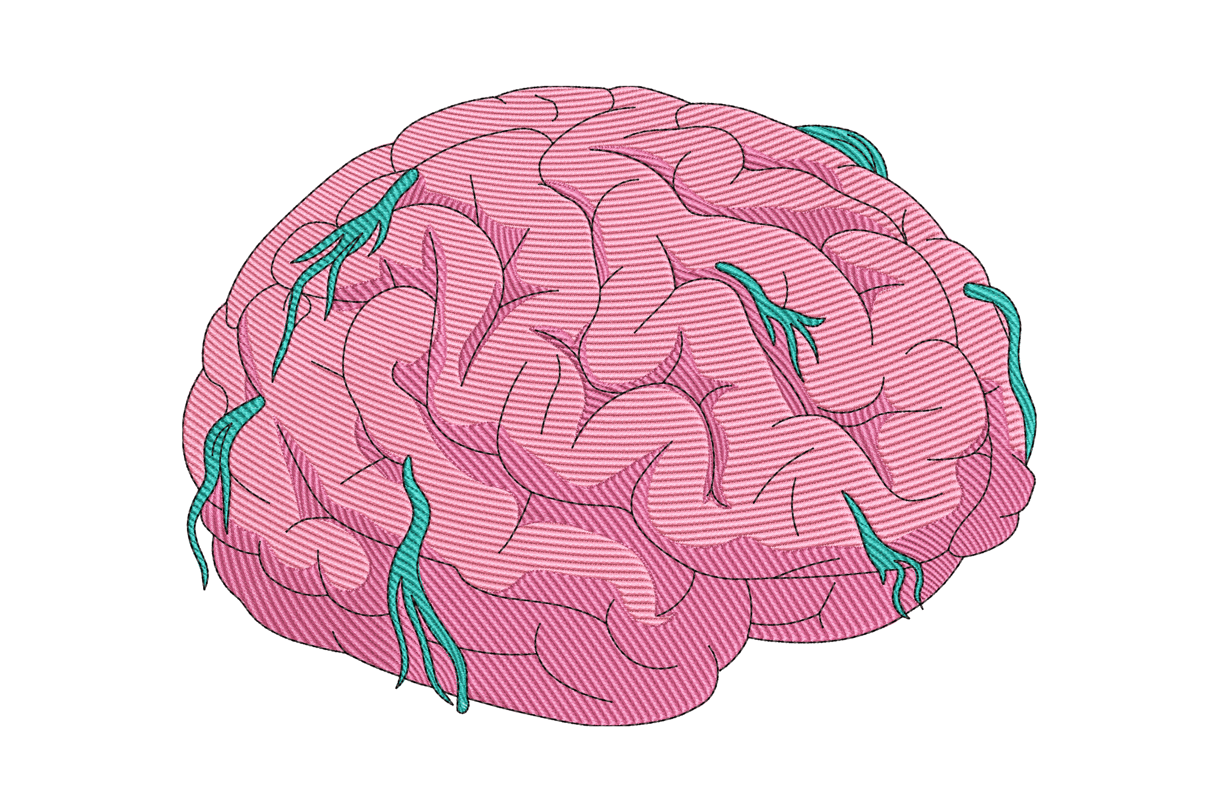 Human Brain Anatomy – Medical Science Embroidery Design