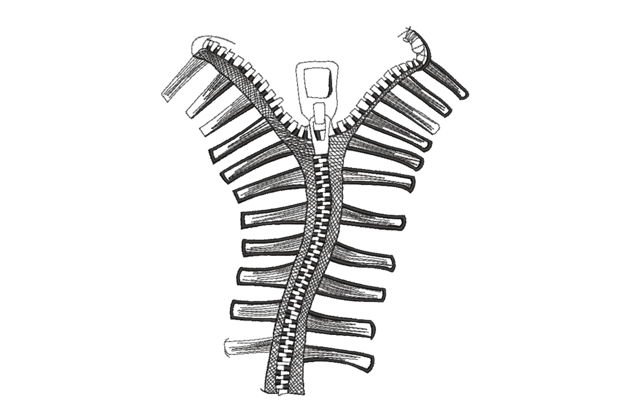 Zipper Skeleton Rib Cage Machine Embroidery Design