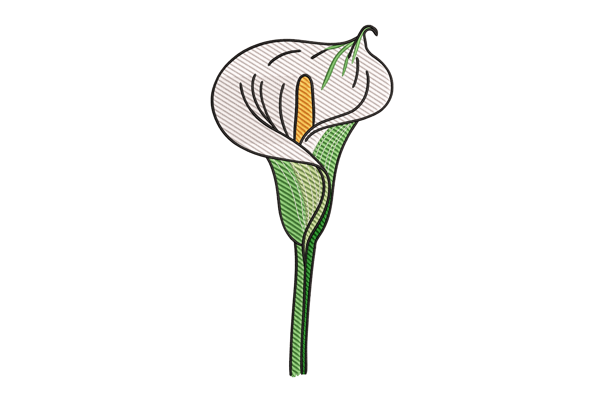 Calla Lily Flower Machine Machine Embroidery Design