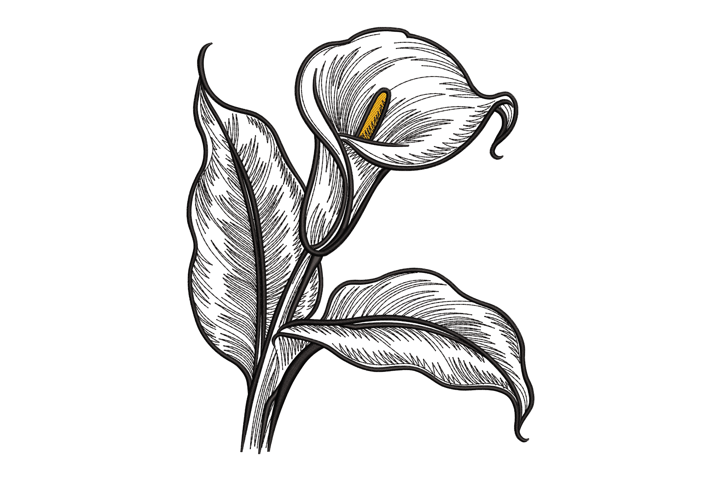 Calla Lily Botanical Line Art Machine Embroidery Design
